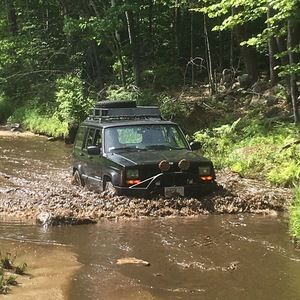 Meet your Posher, Dorothy